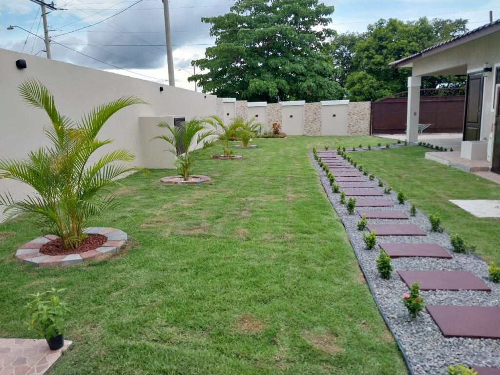 Jardín residencial con palmas areca, grama natural y camino de lajas en Panamá